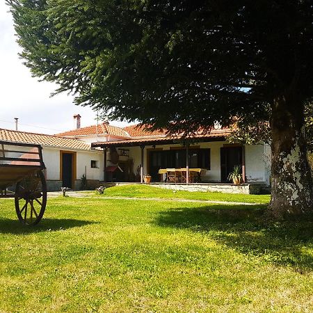 Yiayia'S Rina'S Lovely Cottage Pteria 外观 照片